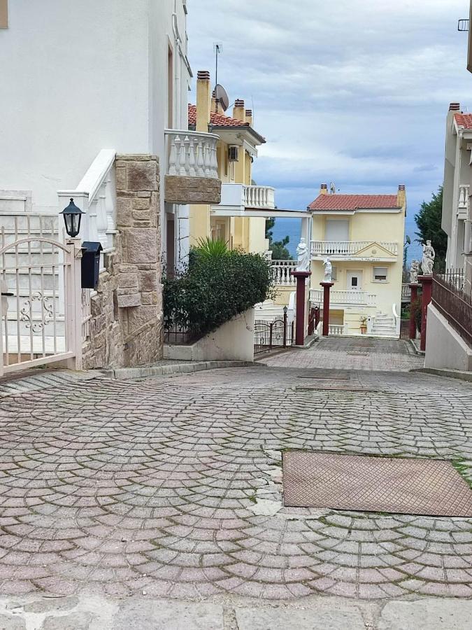 Artemis Luxury Villa PalaiónTsiflíkion エクステリア 写真